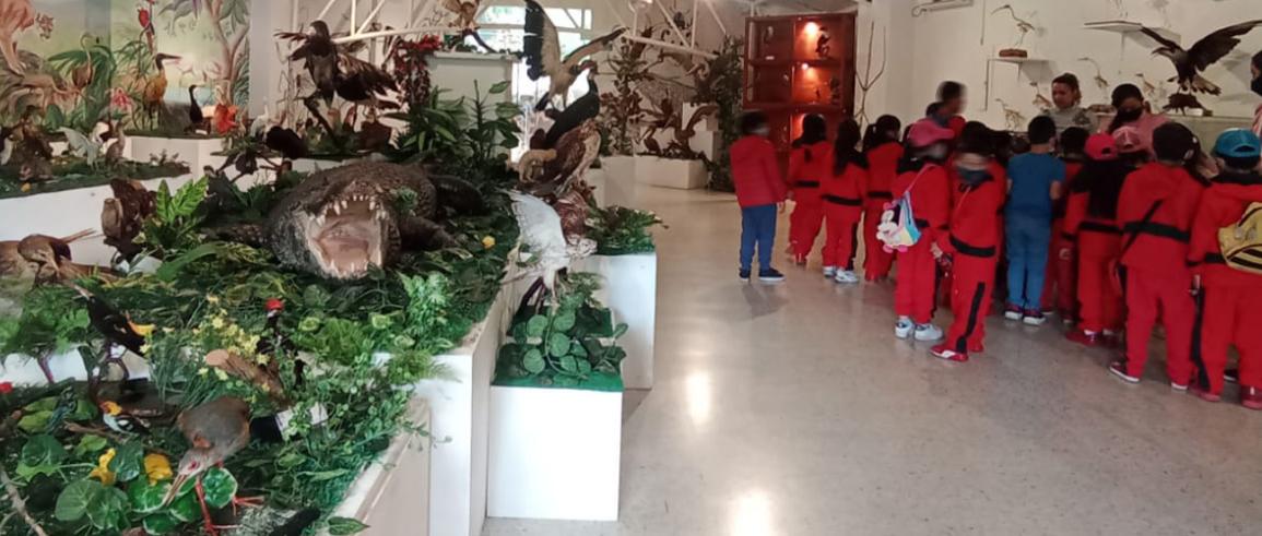 TUNJA: Museo de Historia Natural Luis Gonzalo Andrade